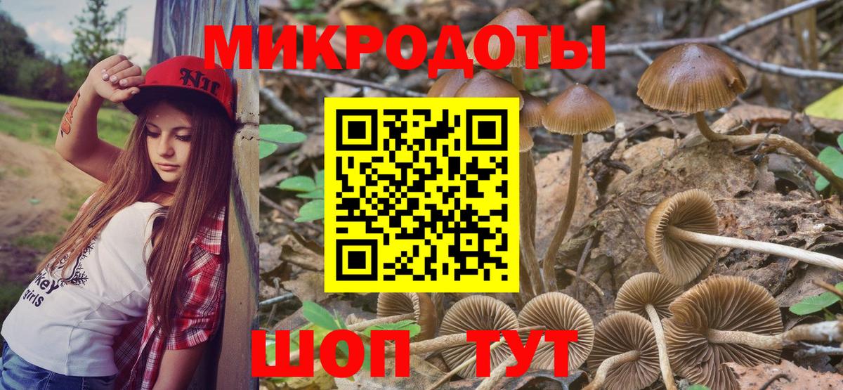 Псилоцибиновые грибы Cubensis Курганинск