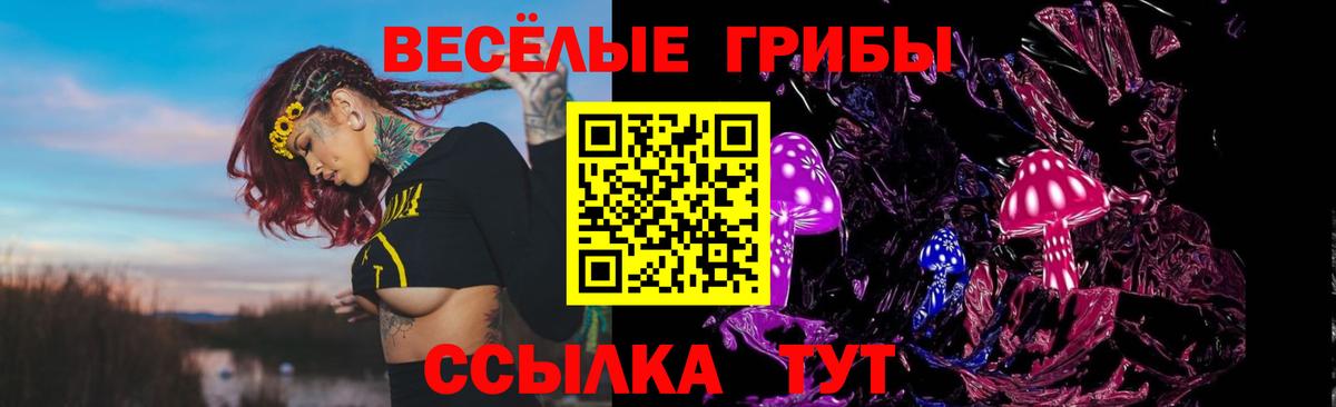 Cocaine Курганинск